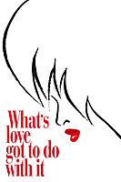 What's Love Got to Do with It (1993) movie poster