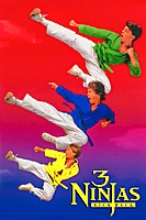 3 Ninjas Kick Back (1994) movie poster