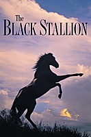 The Black Stallion (1979) movie poster