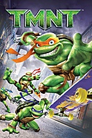 TMNT (2007) movie poster