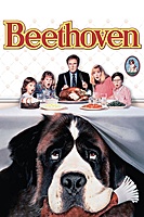 Beethoven (1992) movie poster