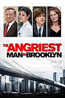 The Angriest Man in Brooklyn (2014) movie poster