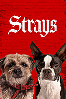 Strays (2023) movie poster