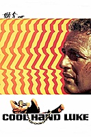 Cool Hand Luke (1967) movie poster