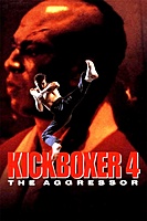 Kickboxer 4: The Aggressor (1994) movie poster