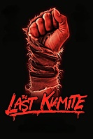 The Last Kumite (2024) movie poster