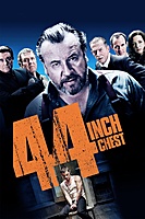 44 Inch Chest (2009) movie poster