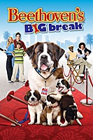 Beethoven's Big Break (2008) movie poster