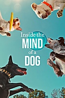 Inside the Mind of a Dog (2024) movie poster