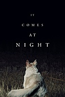 It Comes at Night (2017) movie poster