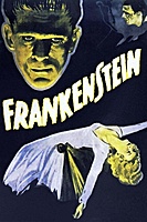 Frankenstein (1931) movie poster