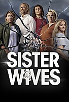 Sister Wives (2010) movie poster