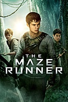 The Maze Runner (2014) movie poster